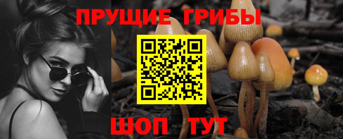 Галлюциногенные грибы мухоморы  что такое наркотик  Сафоново  Вход с VPN 